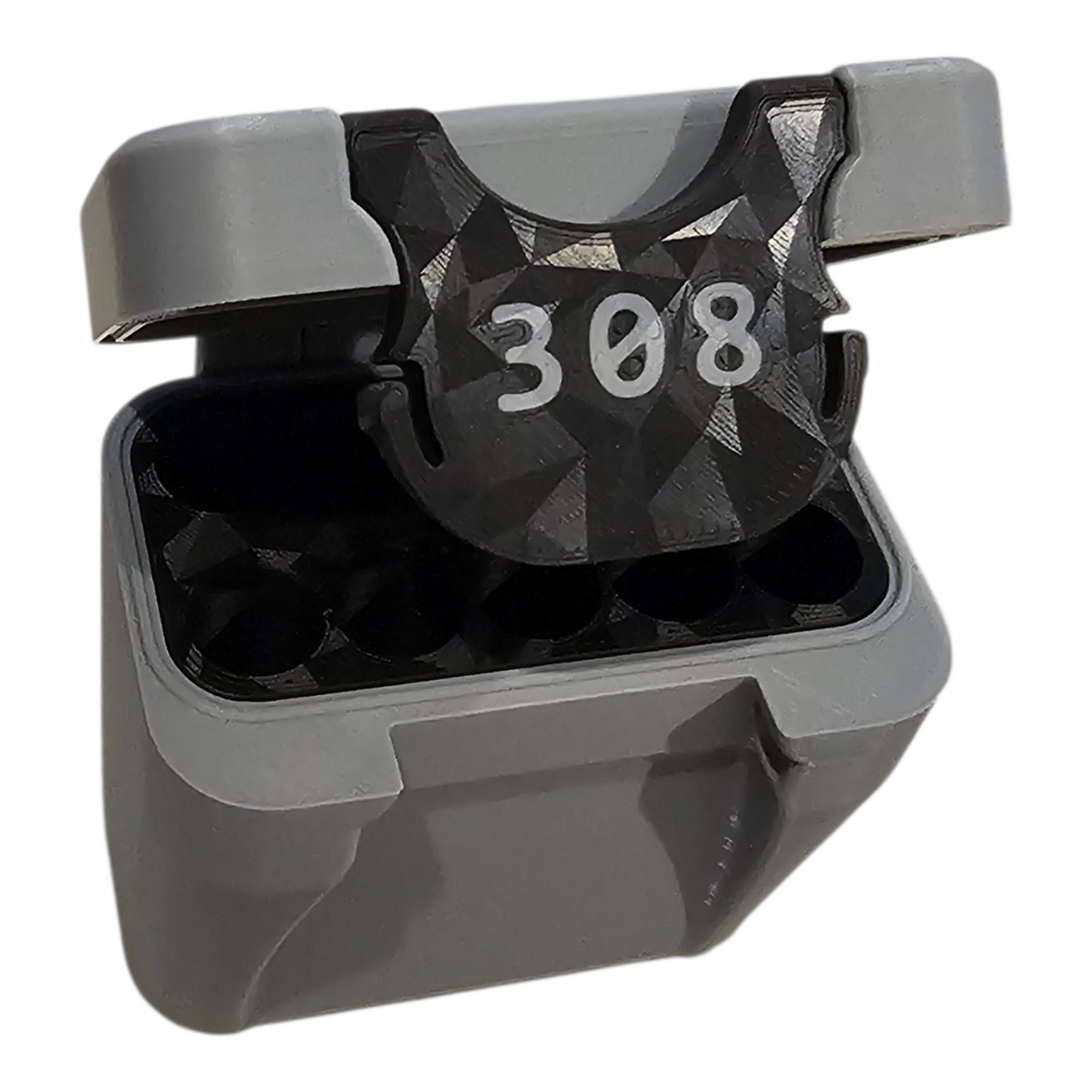 308 - 10 round box