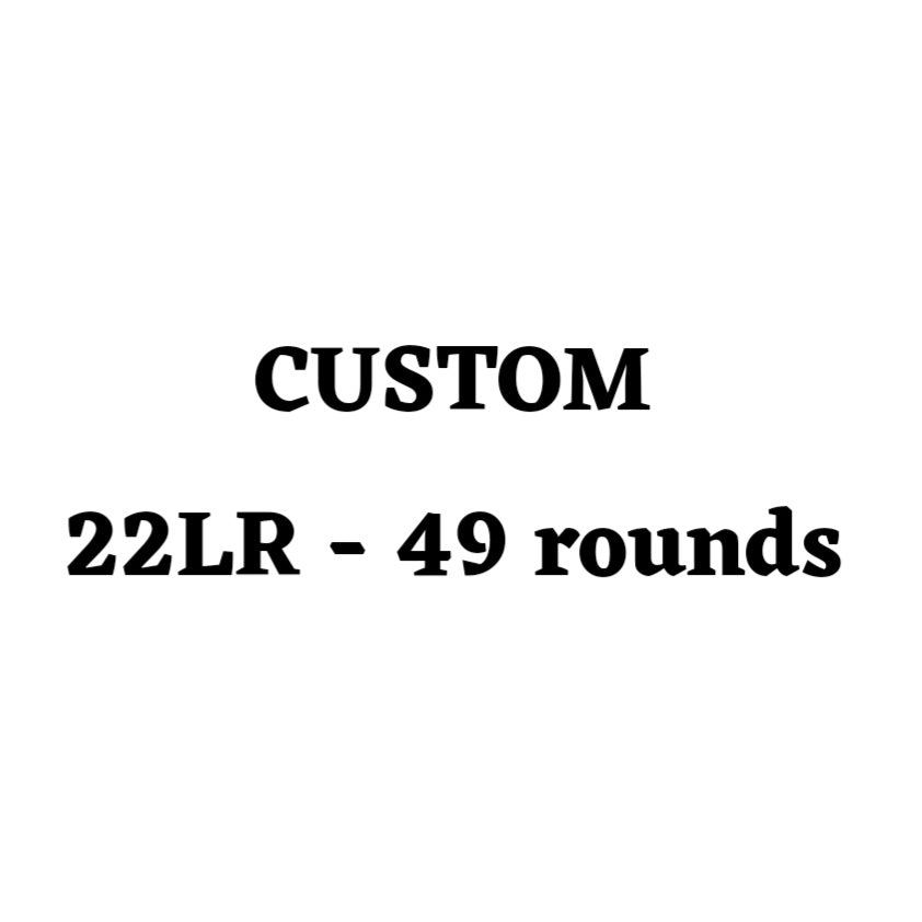 Custom 22LR Ammo Box - 49 Round