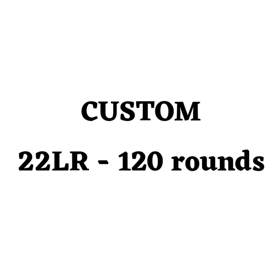 Custom 22LR Ammo Box - 120 Round