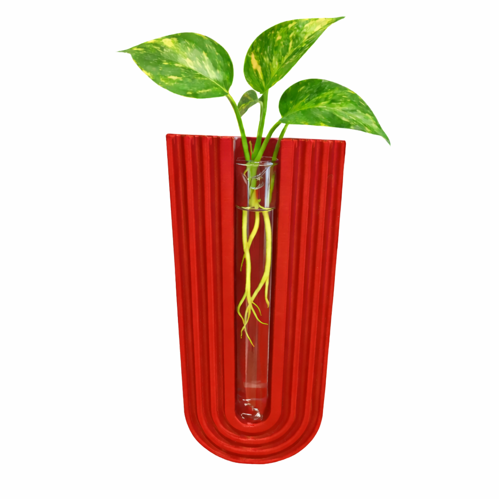 Plant Propagation Wall Vase