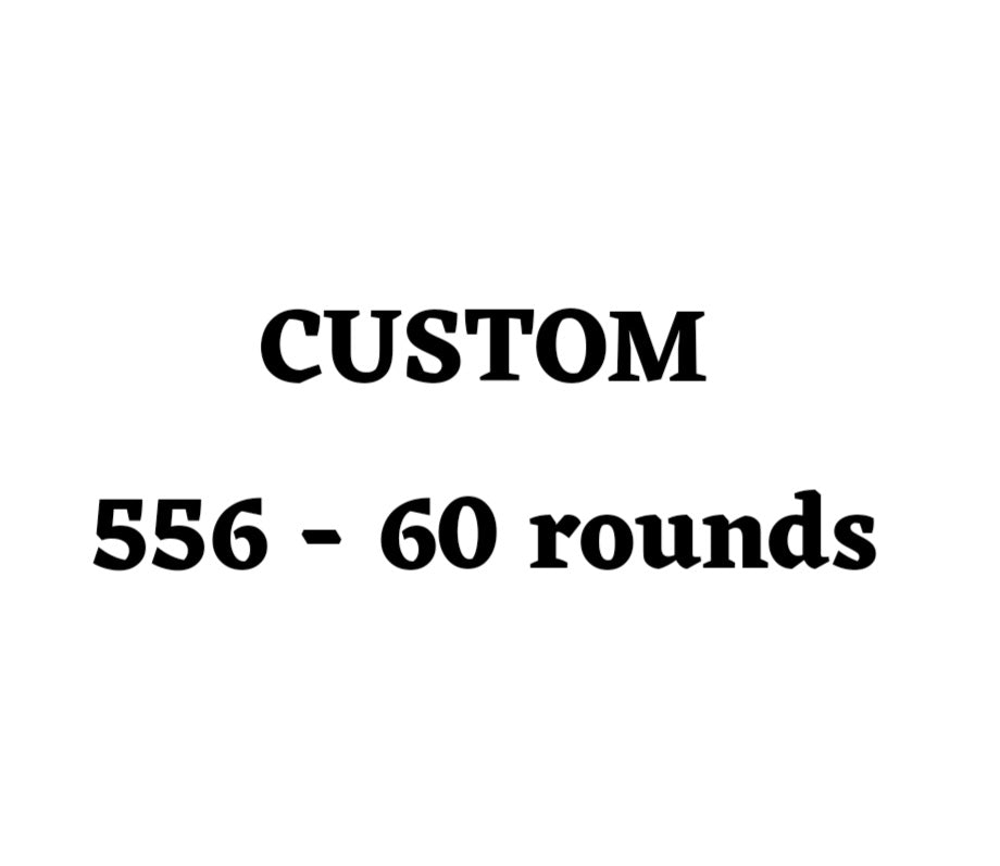 Custom 556 Ammo Box - 60 Round
