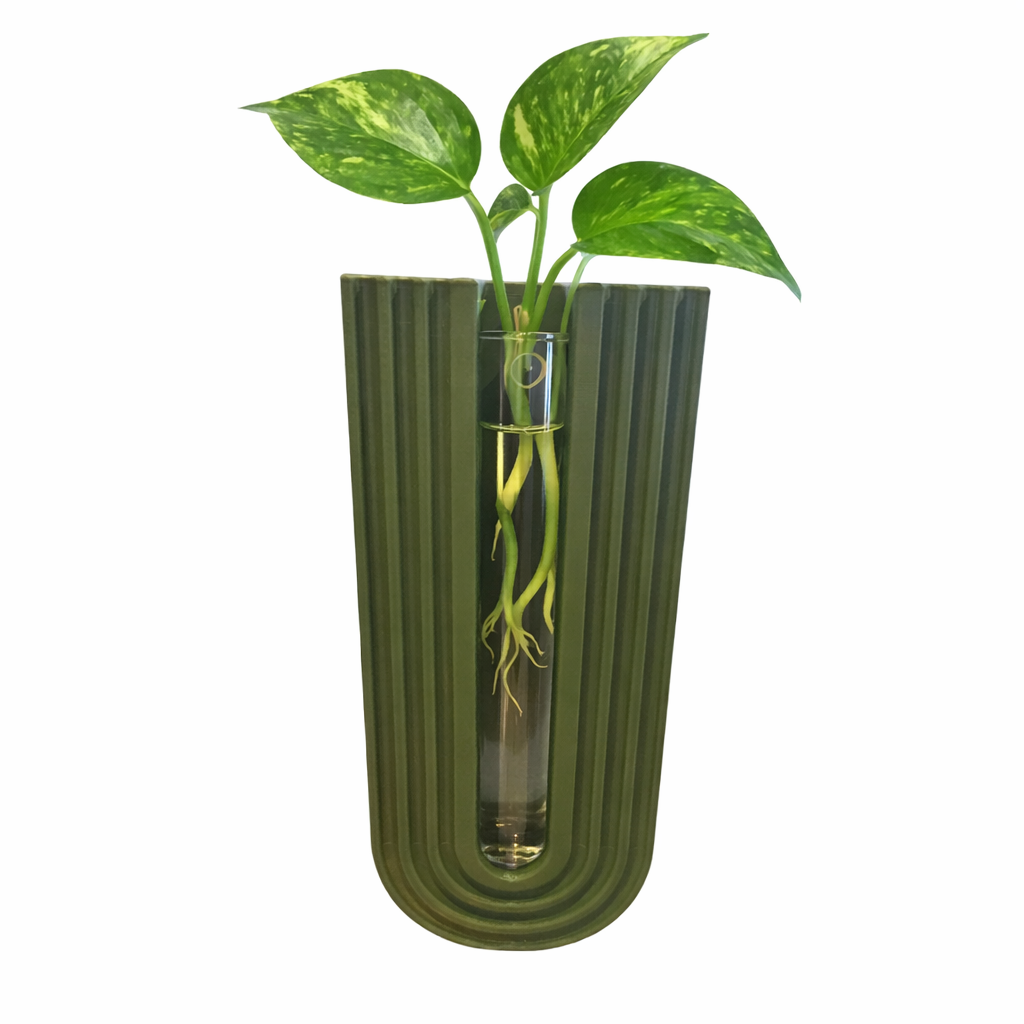 Plant Propagation Wall Vase