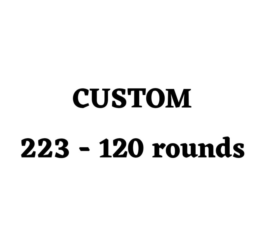 Custom 223 Ammo Box - 120 Round