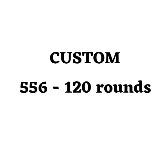Custom 556 Ammo Box - 120 Round
