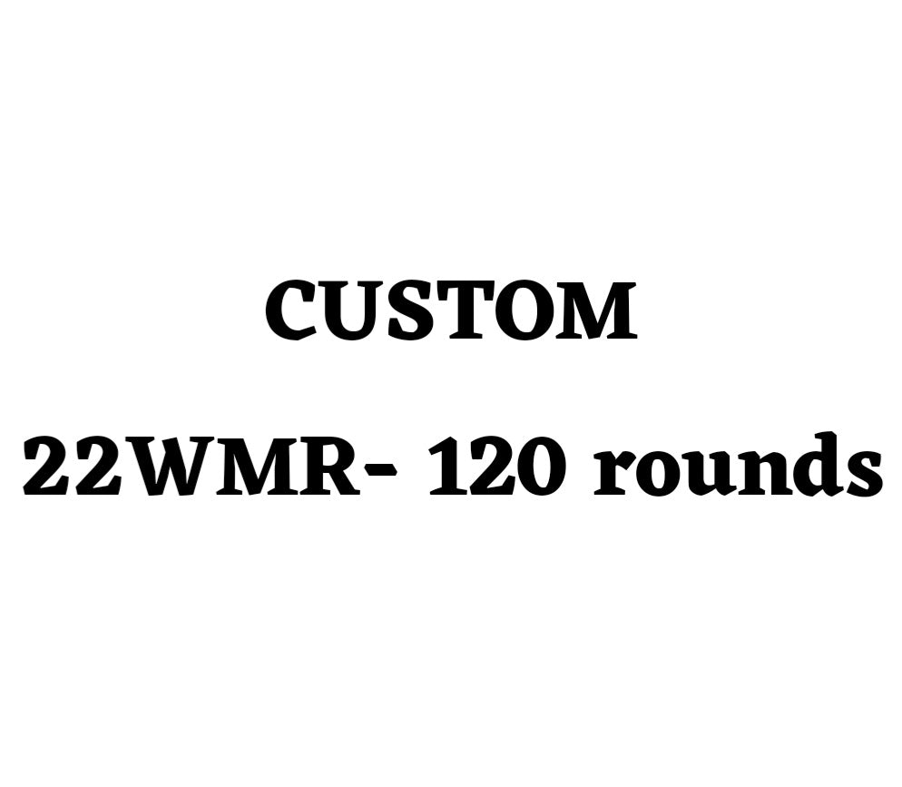 Custom 22WMR Ammo Box - 120 Round