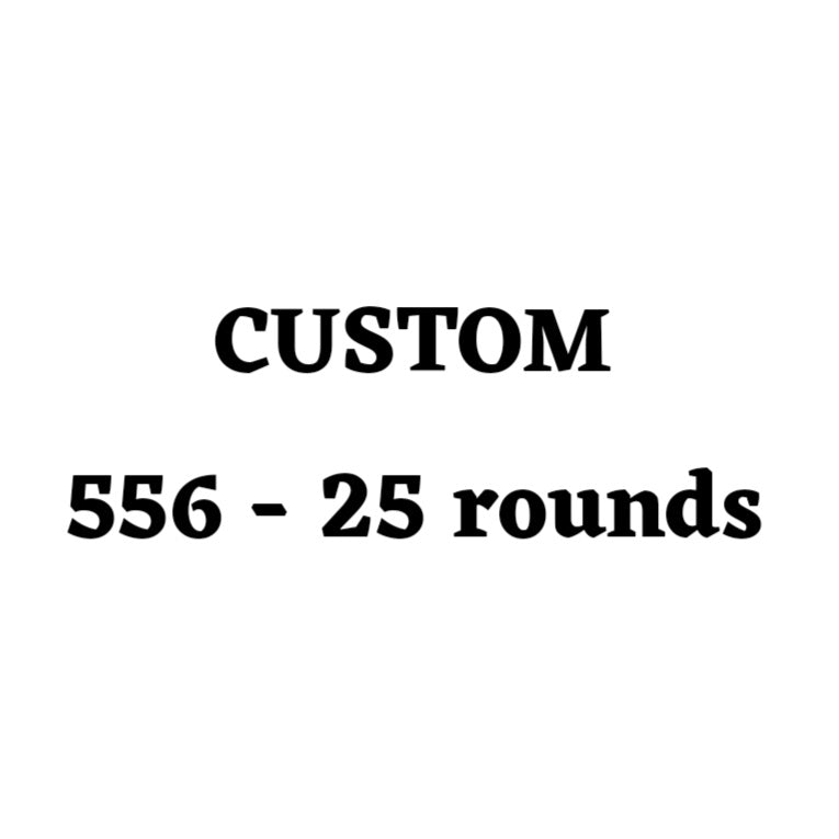 Custom 556 Ammo Box - 25 Round
