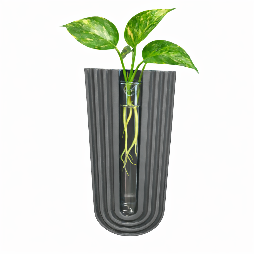 Plant Propagation Wall Vase