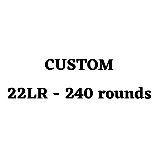 Custom 22LR Ammo Box - 240 Round