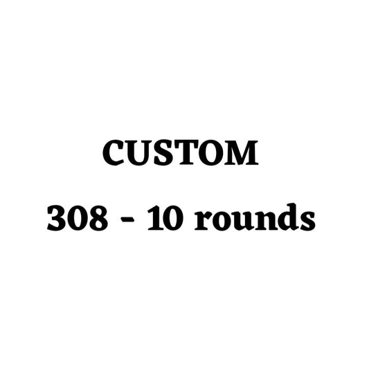 Custom 308 Ammo Box - 10 Round