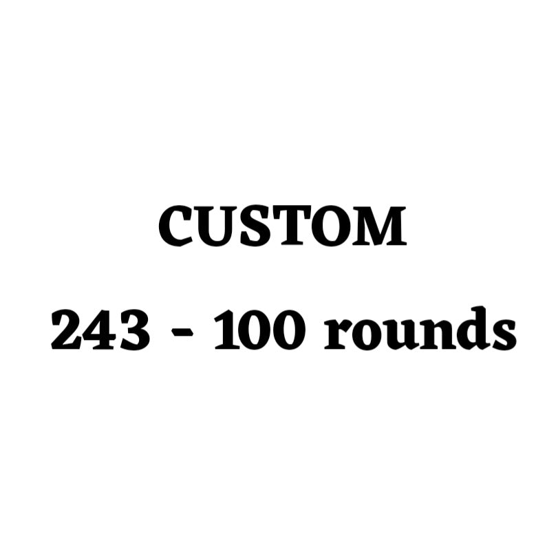 Custom 243 Ammo Box - 100 Round