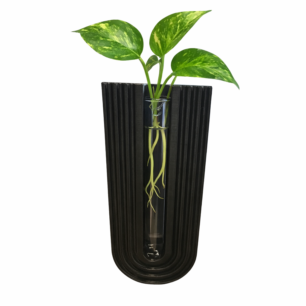 Plant Propagation Wall Vase
