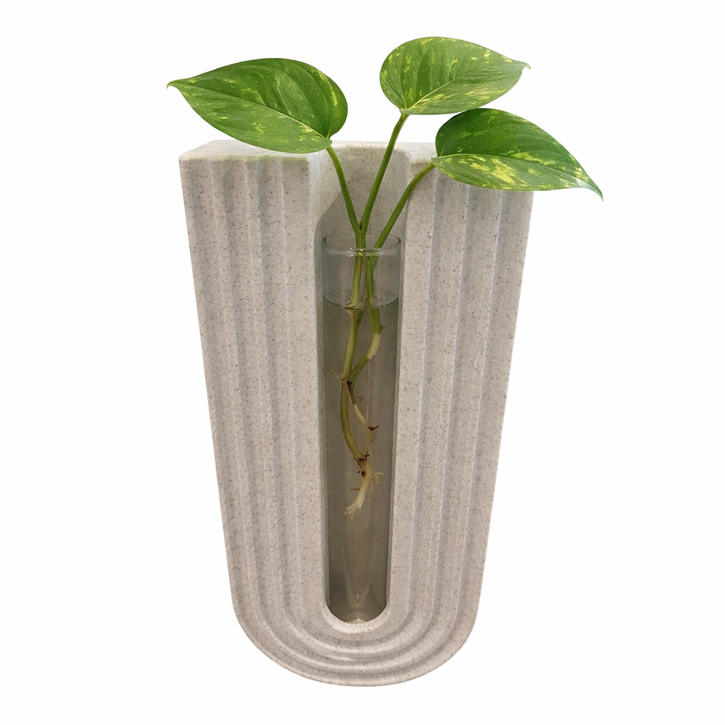Plant Propagation Wall Vase