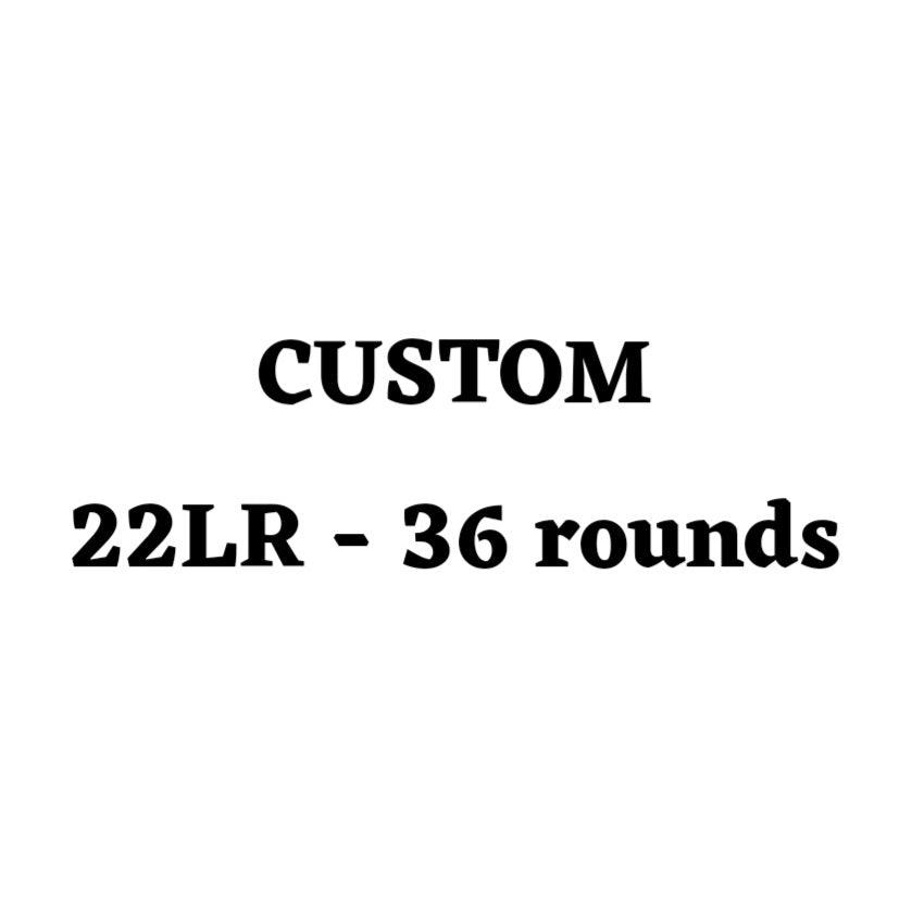 Custom 22LR Ammo Box - 36 Round