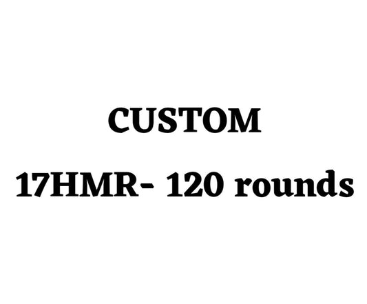 Custom 17HMR Ammo Box - 120 Round