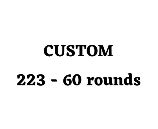 Custom 223 Ammo Box - 60 Round
